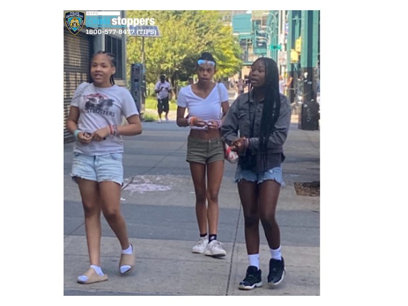 En el video se puede apreciar  a las mujeres utilizando un short de mezclilla. Dos de ellas con blusas de manga corta y la tercera con una chamarra verde militar. Foto: Tw @NYPDTips