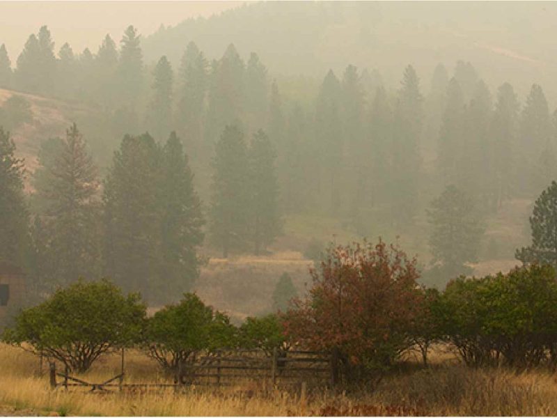 Según el gobierno de San Diego, el 80% de los incendios en hogares pudieron preverse y salvar tanto a sus dueños como las propiedades.