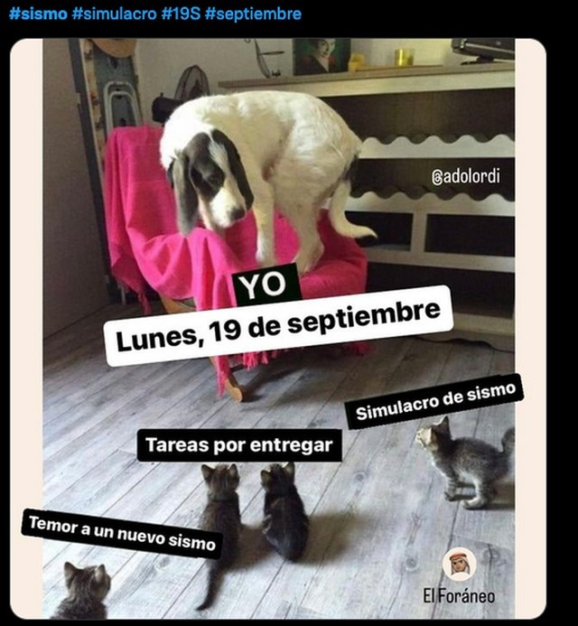 Mis pendientes y el 19-S.