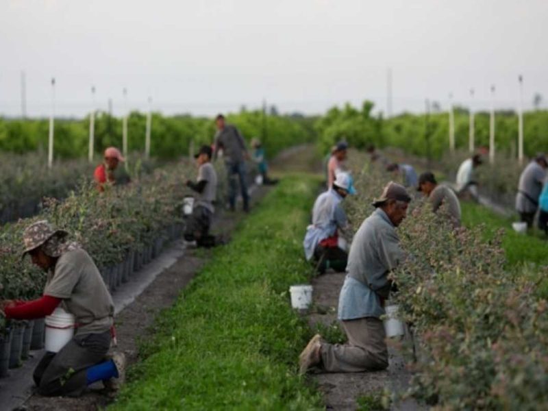 Un empresario extorsionó a varios trabajadores agrícolas mexicanos en Estados Unidos.