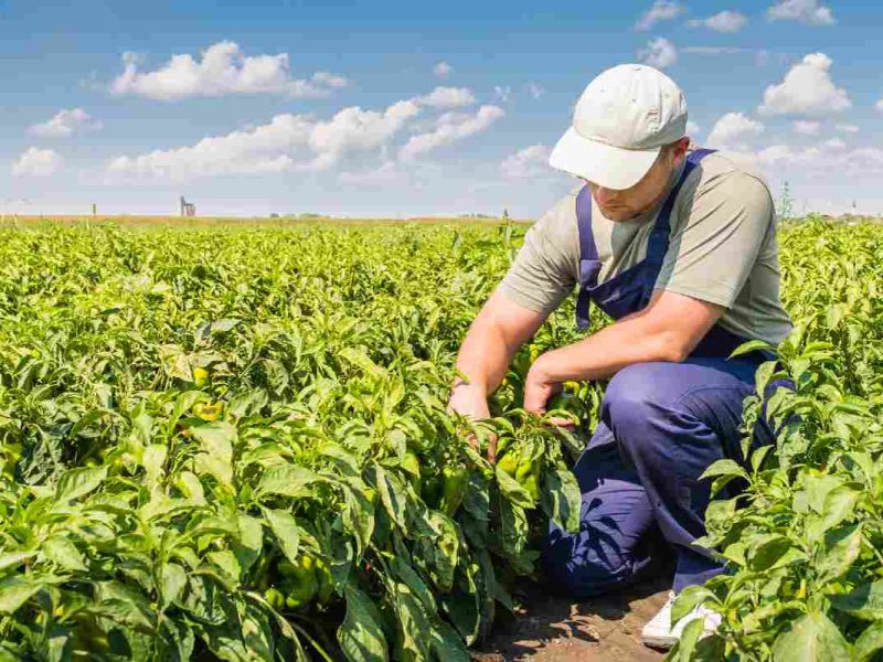 ¿Qué hacer si mi jefe me amenaza con reportarme con ICE?