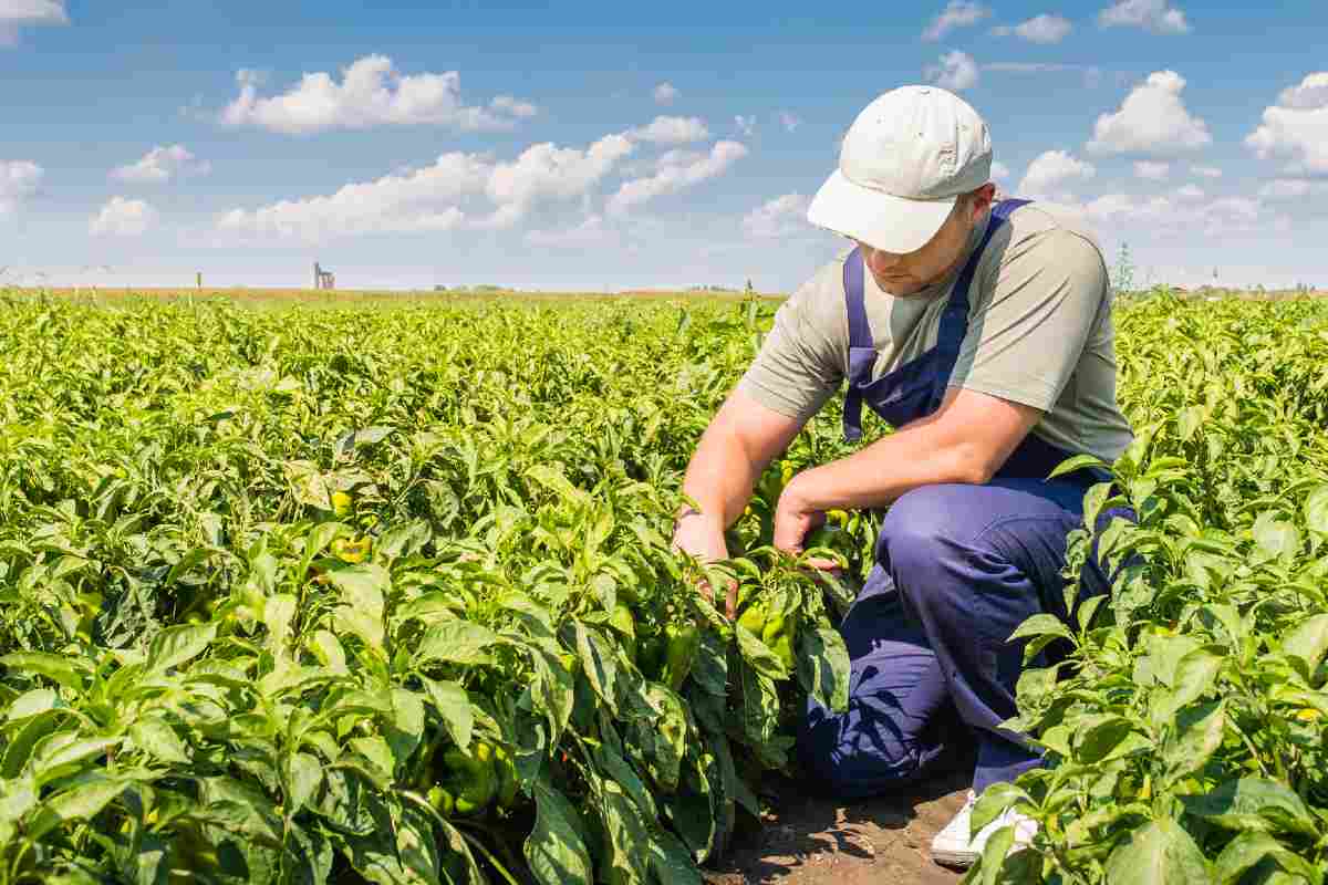 El estado con el salario mínimo mas bajo es Wyoming | Foto: <a href="https://depositphotos.com/es/" title="Depositphotos">Imagen de archivo de Depositphotos</a>