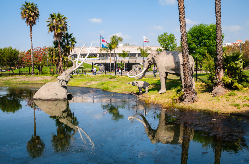 La Brea Tar Pits | Foto: <a href="https://depositphotos.com/es/" title="Depositphotos">Imagen de archivo de Depositphotos</a>