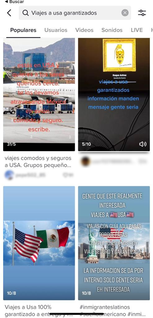 Búsqueda de coyotes en TikTok. | Foto: Factchequeado.