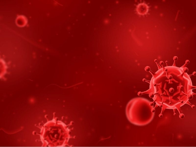 Perro del infierno es la nueva subvariante del Covid.