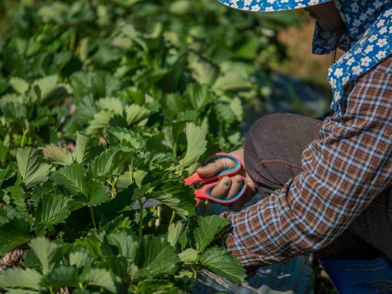 imagen de archivo de depositphotos