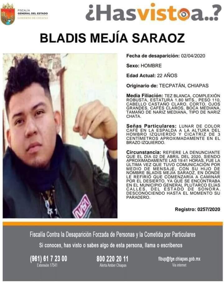 Pesquisa Bladís Mejía Saraoz