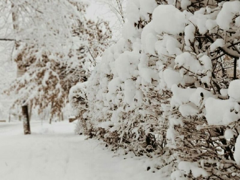 La ola de frío en Estados Unidos y Canadá y la posible influencia de la crisis climática.