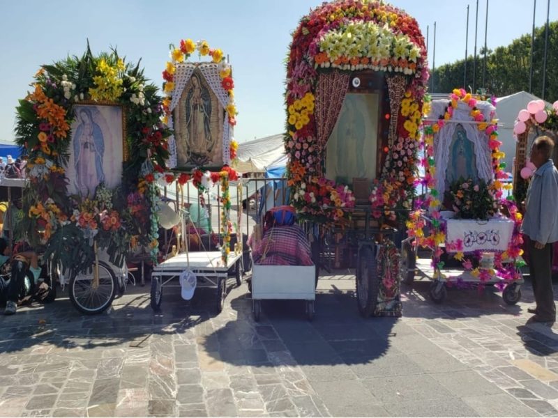 Durante los últimos 40 años, miles de personas han decidido peregrinar hasta la Basílica de Guadalupe en febrero, todo para ver a la virgen