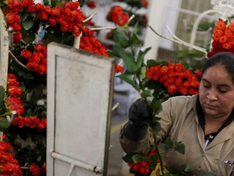 Con este programa puedes hacer realidad cualquier proyecto que tengas en mente como poner una florería o un negocio de comida Foto: Voz de América