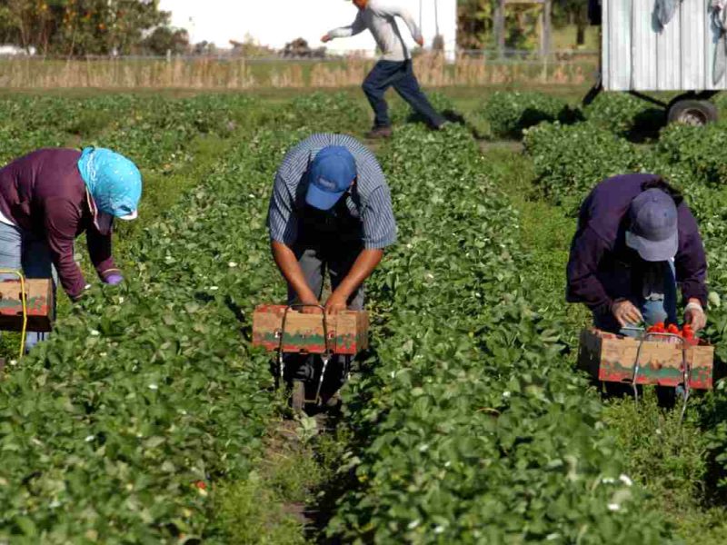 Foto:imagen de archivo de depositphotos