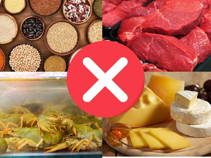 Dentro de los artículos que no puedes traer a México están los crustáceos vivos, quesos frescos, semillas y carne cruda.