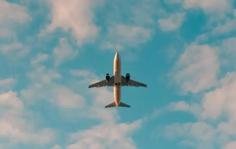 En Texas los migrantes fueron contactados por personas que les ofrecieron trabajo y no sabían que iban a ser llevados a Sacramento.