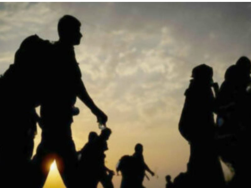 La información sobre protocolos de ayuda a migrantes debe ser pública.