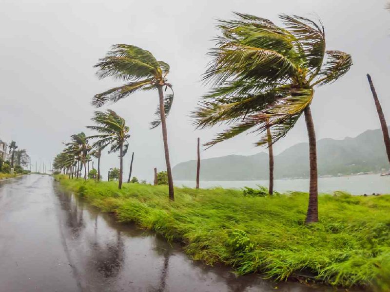 5 consejos para protejerte ante las tormentas tropicales y huracanes.
