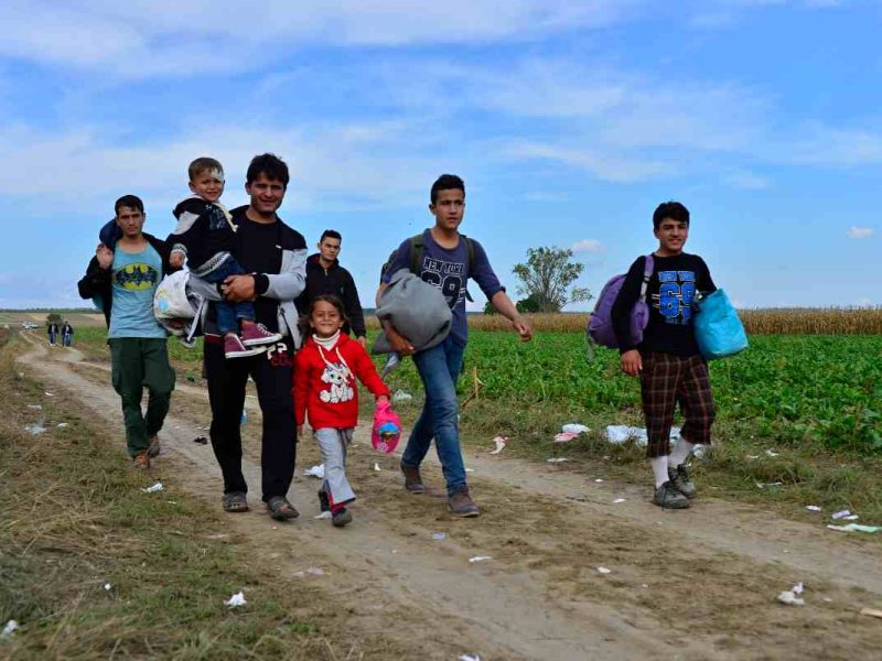 COMAR: Junio cierra con 11,000 personas solicitantes de refugio en México cambiar de estado durante el refugio en méxico