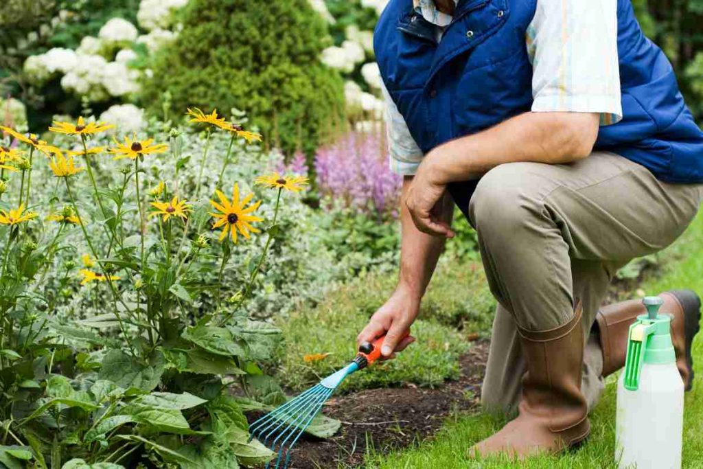 Imagen actual: Hay trabajo en Canadá como jardinero