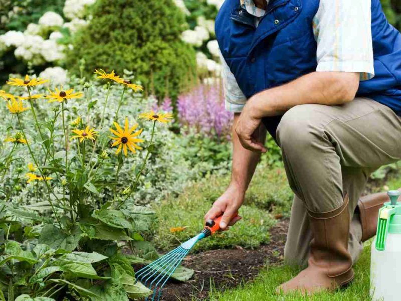Hay trabajo en Canadá como jardinero