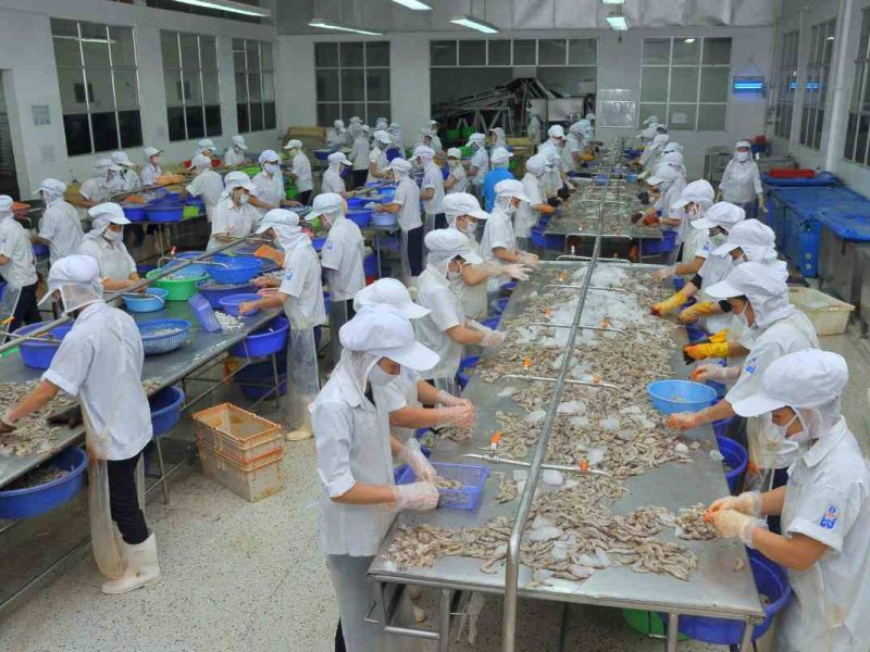 Postúlate a este trabajo en Canadá como obrero para planta de procesamiento de pescado