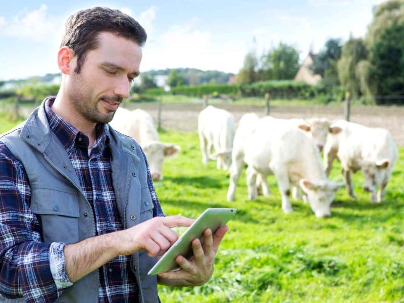 Hay trabajo en Canadá como supervisor de granja