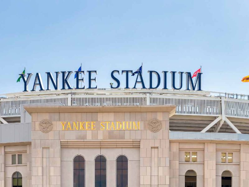 Los New York Yankees son un equipo de béisbol profesional que cuentan con una rica historia y una base de fanáticos inigualable.