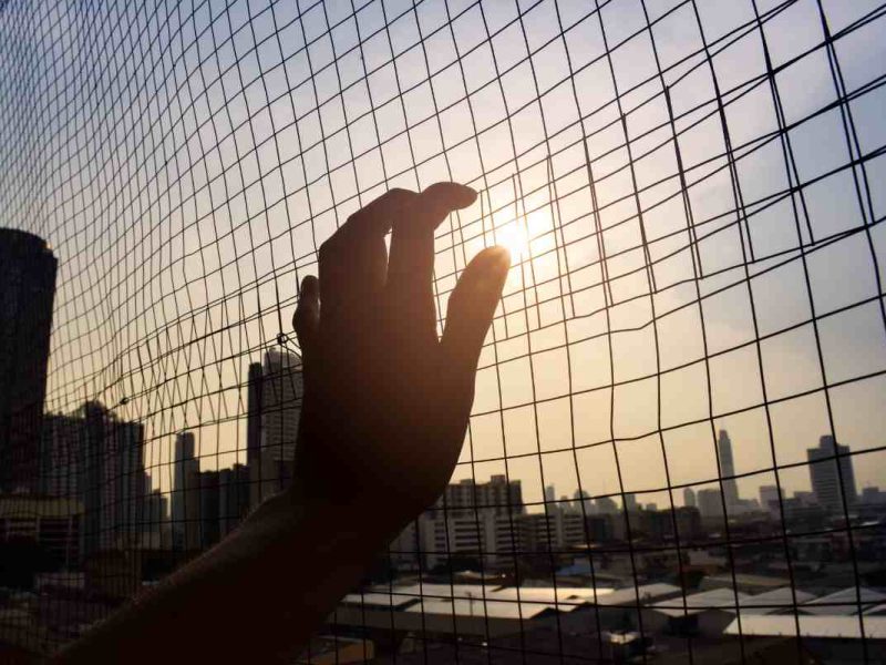 La falta de acceso legal para los solicitantes de asilo fue criticada por legisladores demócratas