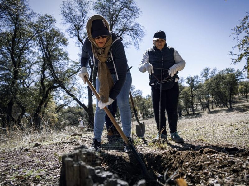 Foto: Migrar y desaparecer