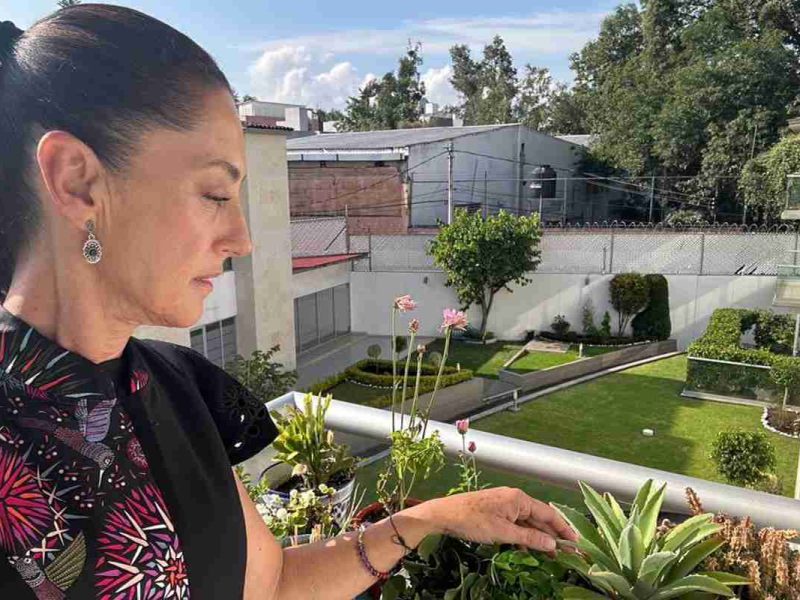 Elecciones 2024 Claudia Sheinbaum