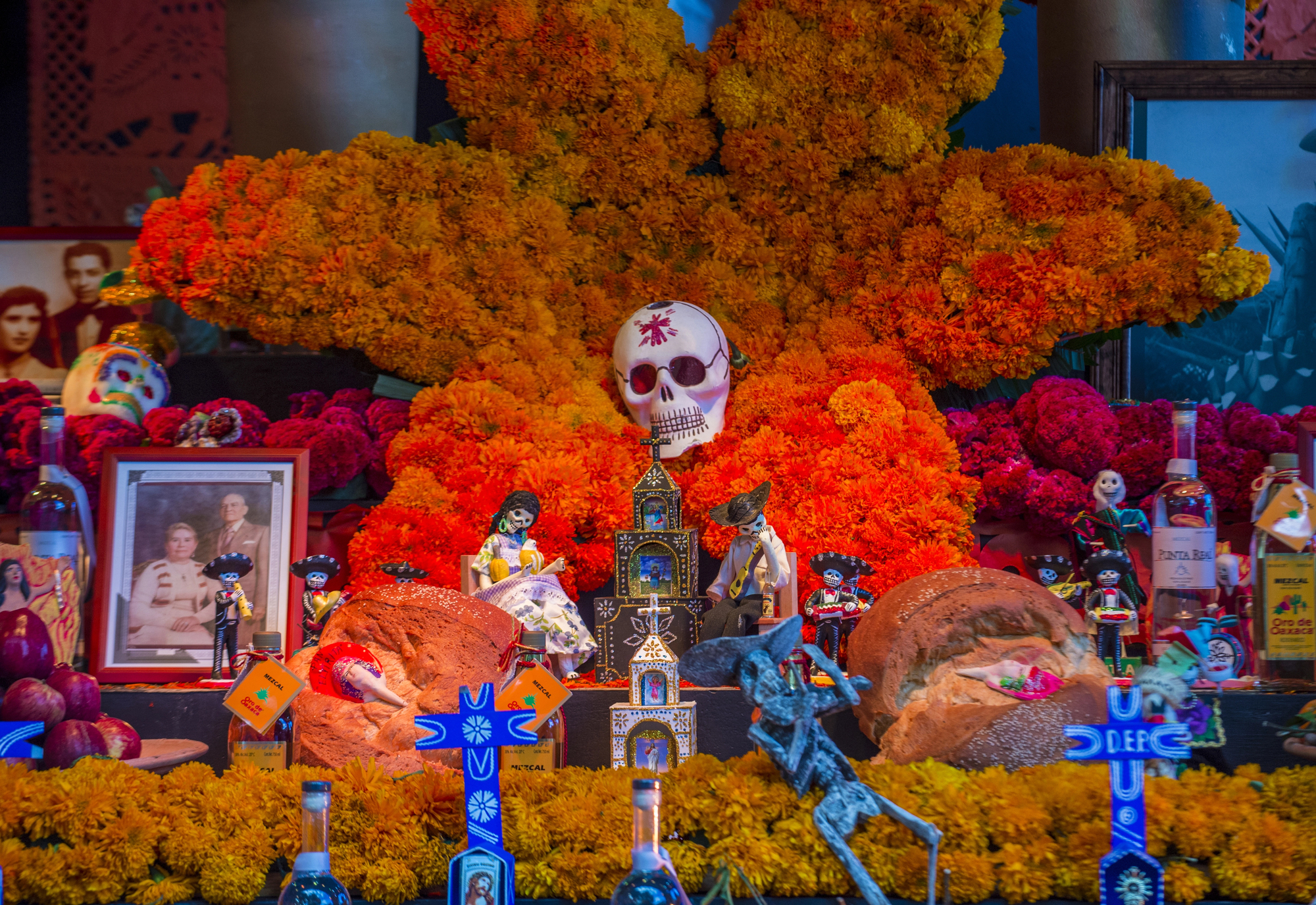 Visita la exhibición de Día de Muertos en Dallas, es totalmente gratis | Foto: imagen archivo de depositphotos