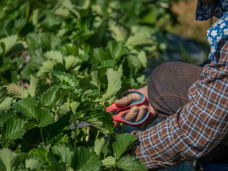 oración para tener éxito en el trabajo