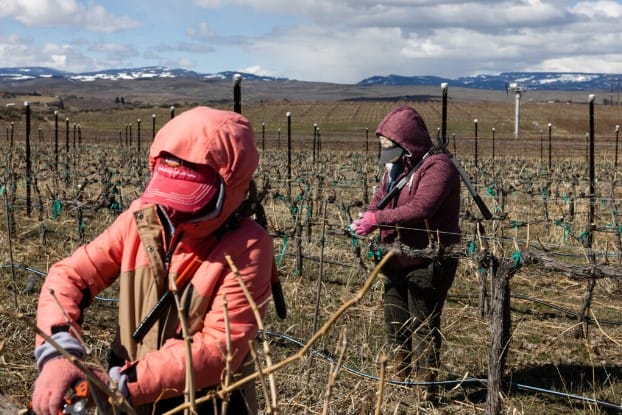 Foto de Emree Weaver / Yakima Herald-Republic