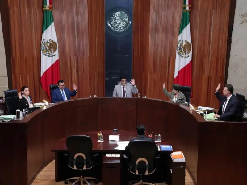 El Tribunal Electoral ha concedido varias victorias a los mexicanos en el exterior para garantizar sus derechos electorales, una de estas es dar luz verde al Diputado Migrante