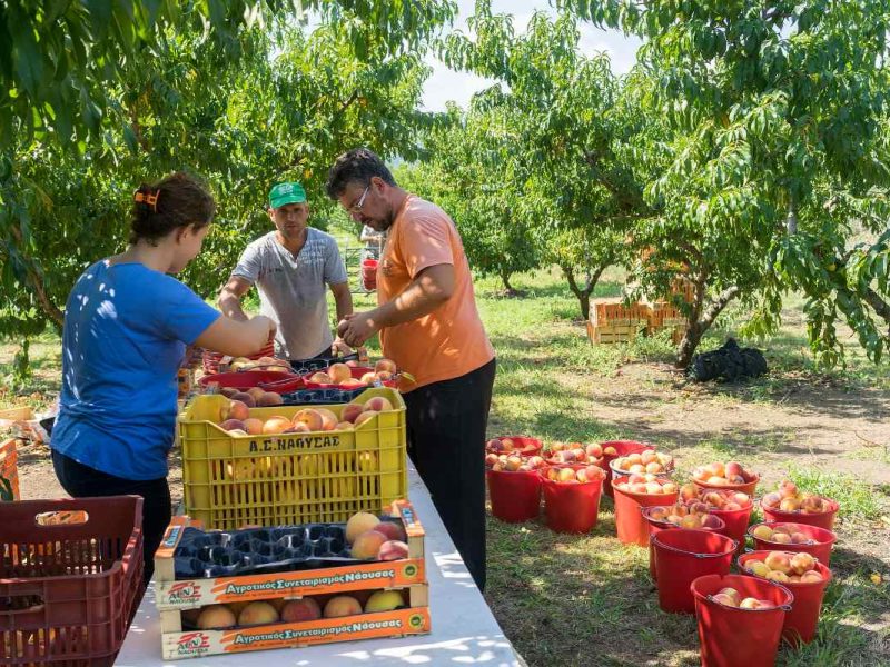 Estados Unidos anunció poco más de 40 mil visas de trabajo para personas sin estudios universitarios.