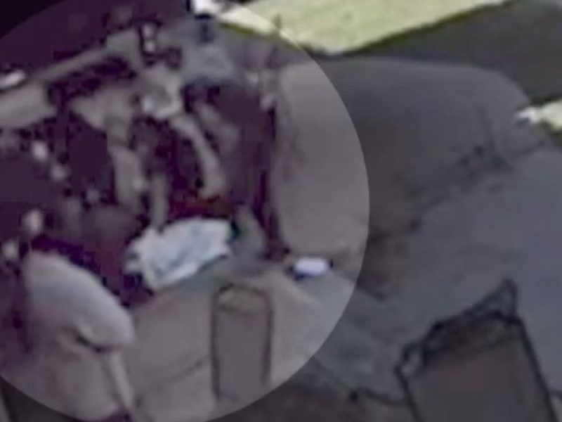 Dia de acción de gracias