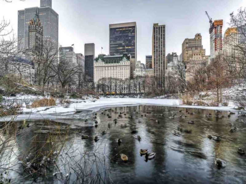 Checa el clima en Nueva Yok hoy 19 de enero de 2025
