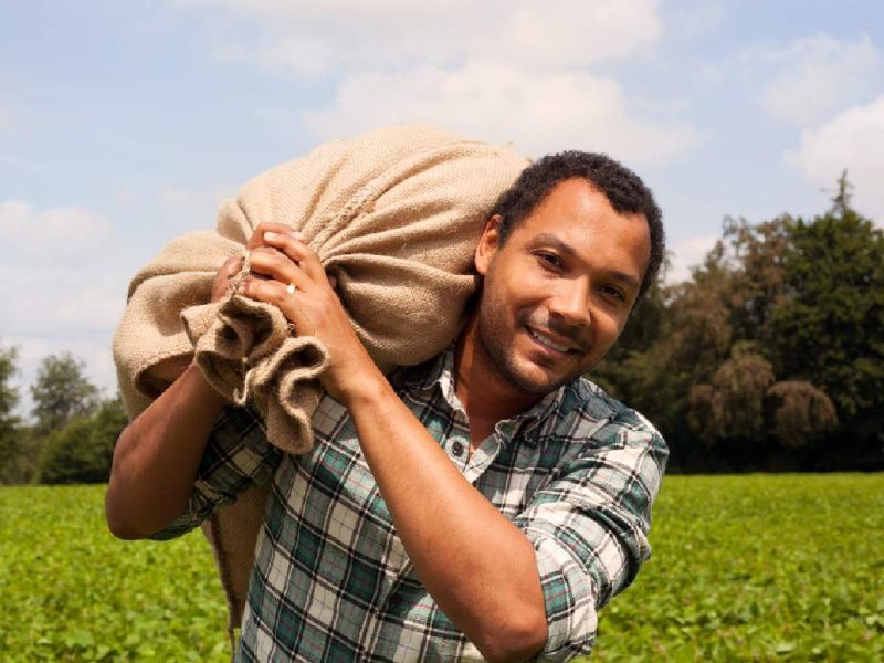 Visita estas páginas para encontrar trabajo en Estados Unidos