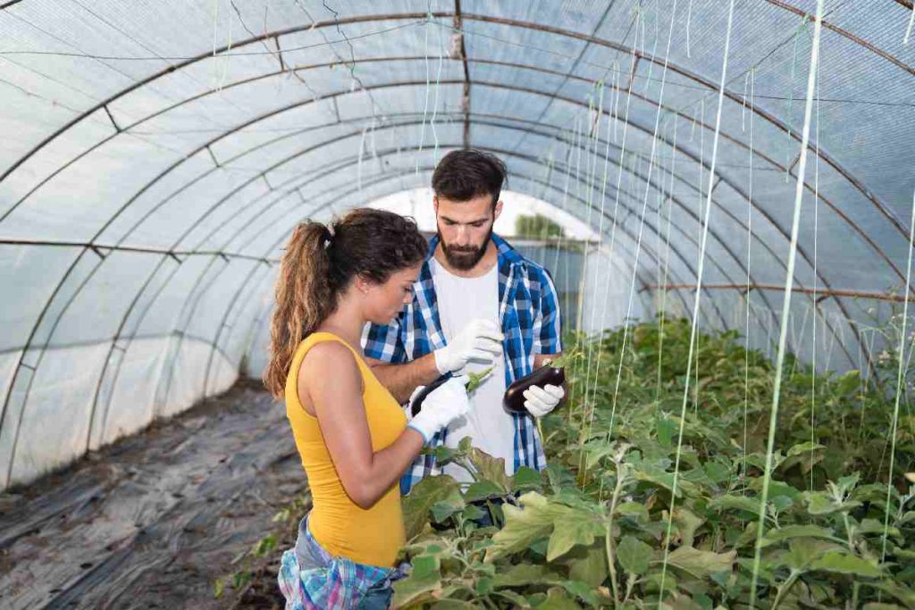 Aplica a este trabajo para mexicanos en Canadá | Foto: depositphotos