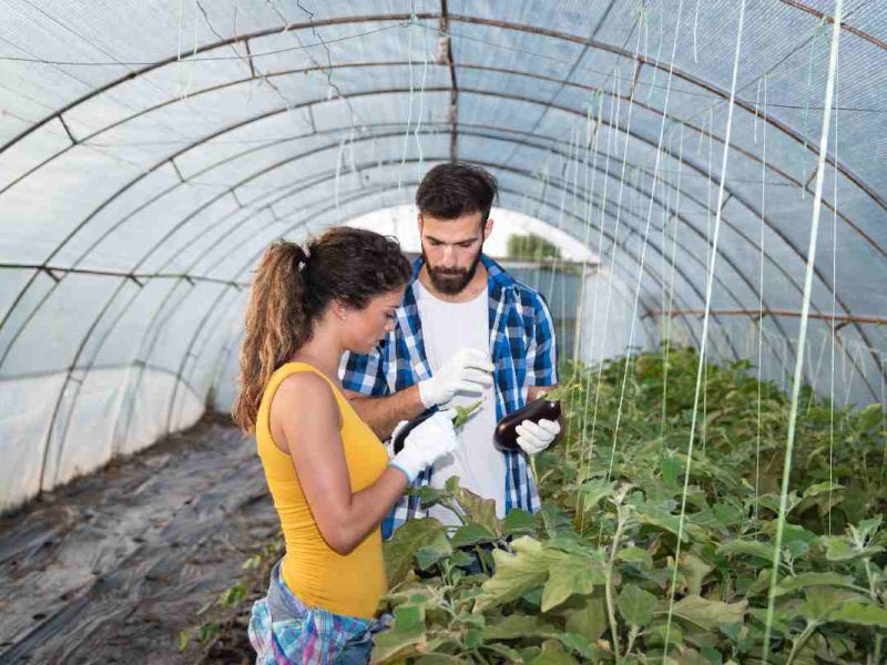 Aplica a este trabajo en el campo en California | Foto: depositphotos