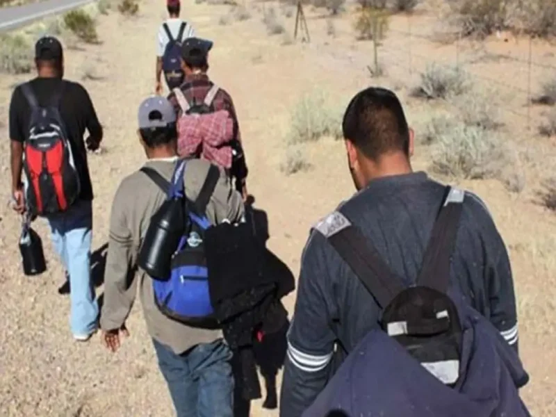 Justin Heap dice que hay una supuesta laguna legal que ha permitido que "un número creciente de migrantes o traficantes de personas se muevan a través de tierras agrícolas y ganaderas".