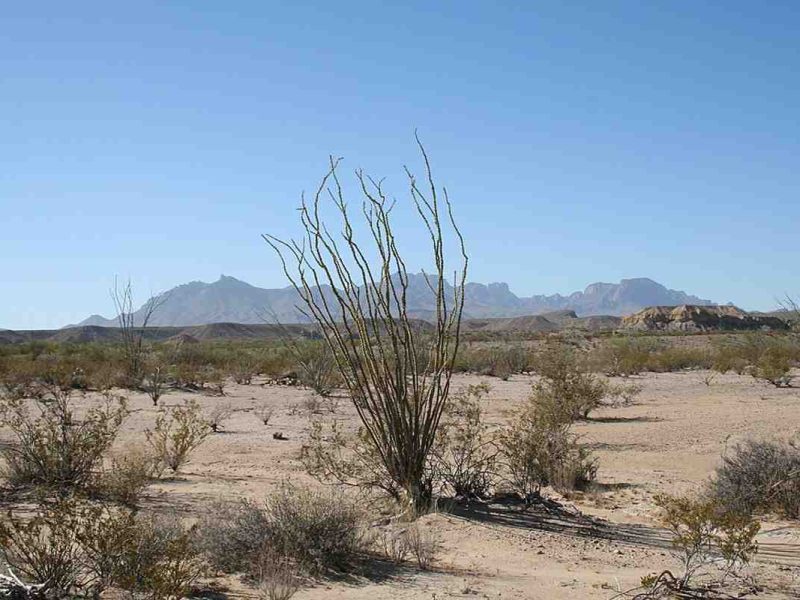 Migrante poblano rescatado en Texas planeaba encontrarse con su papá en Indianápolis.