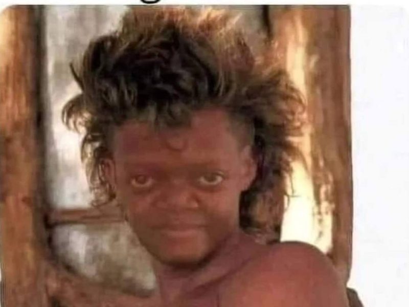 mejores memes de la semana en Conexión Migrante