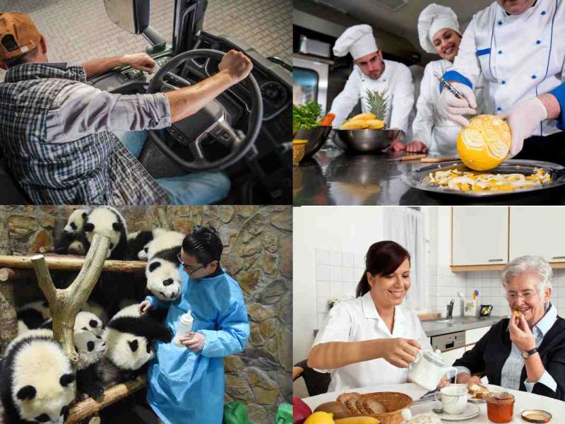 Te decimos cual es la profesión mejor pagada en Fresno, LA y cuáles son los trabajos mejor pagados en California