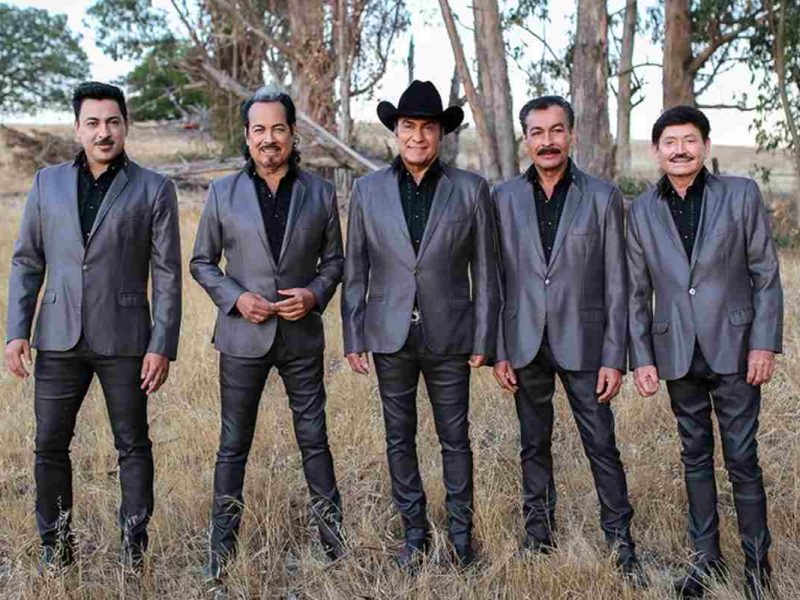 Tigres del norte en Londres