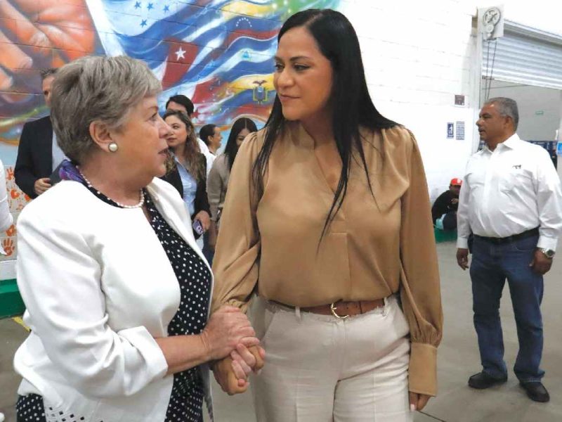 Alicia Bárcena visita la frontera con EE UU, estará en Chihuahua y Texas