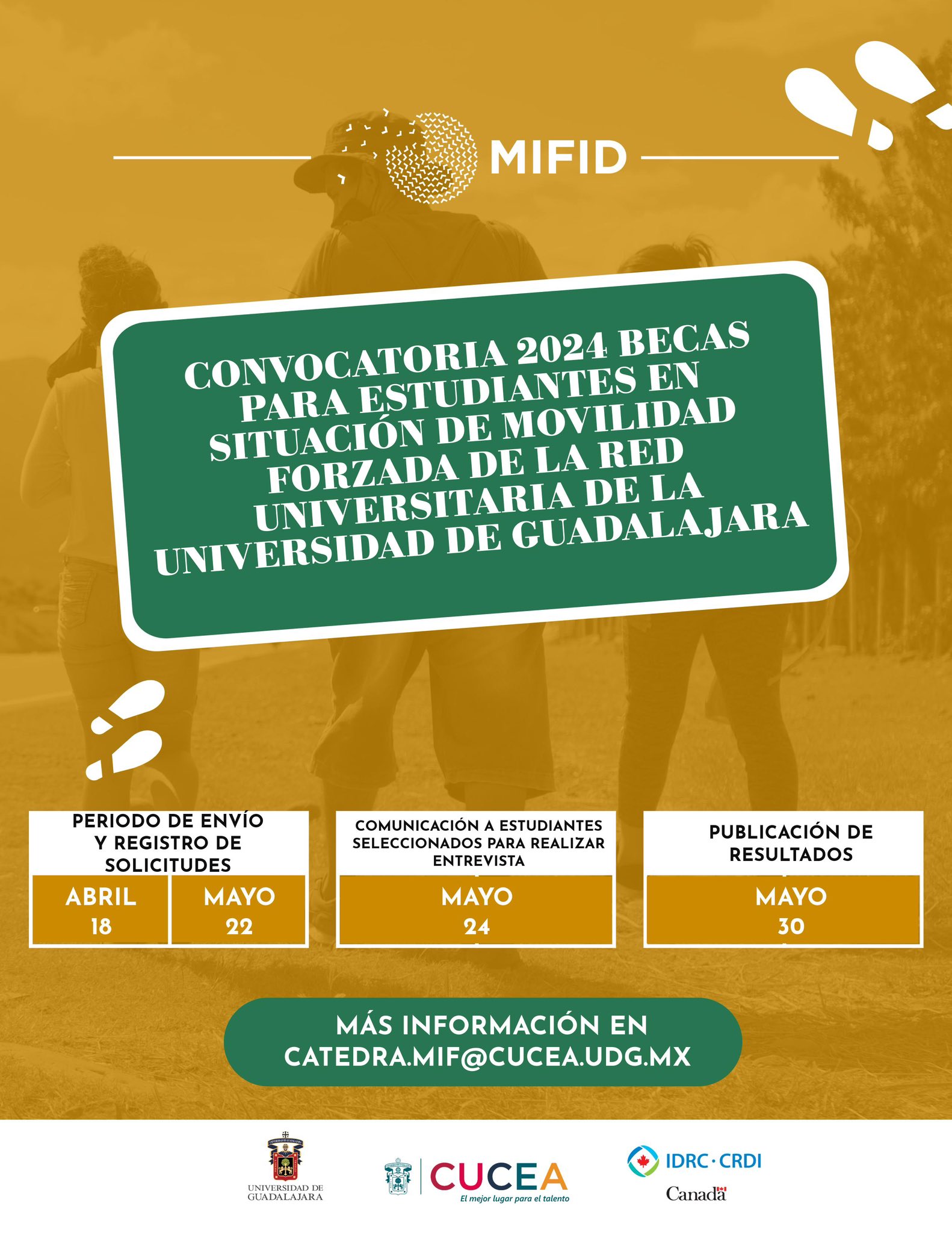 Becas MIFID de la UDG