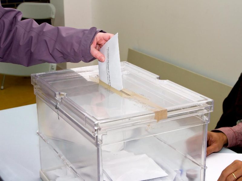 Pueden los no ciudadanos votar
