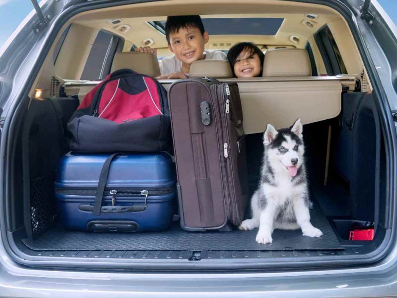 cuándo son las vacaciones de verano en estados unidos