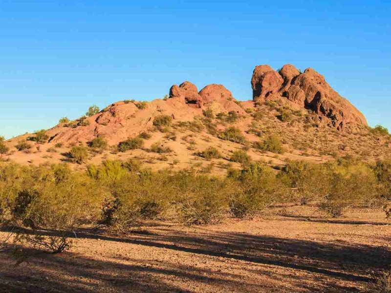 cruzar el desierto de Sonora