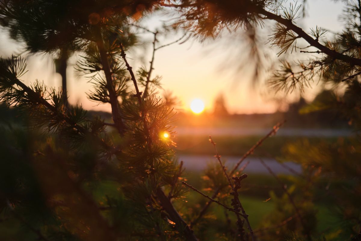 Este jueves 15 de agosto las condiciones climáticas variarán de forma considerable entre las principales ciudades de Estados Unidos.