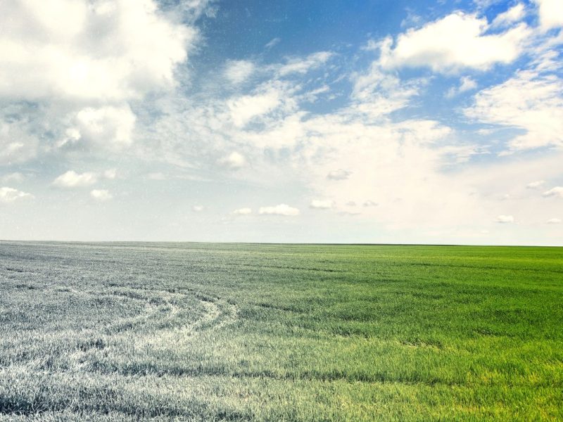 El clima en Nueva York hoy 24 de octubre tendrá un día parcialmente nublado con una temperatura agradable.
